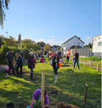 Tree Planting