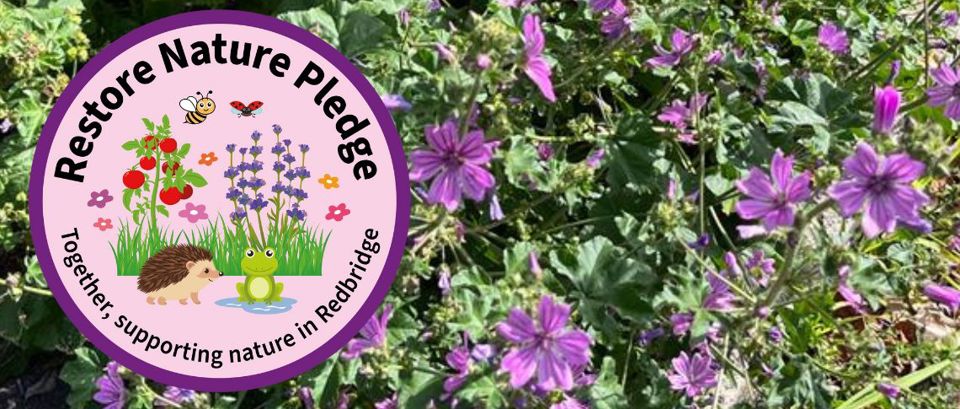restore nature pledge logo with image of purple flowers behind it